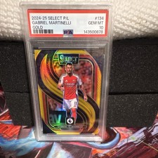 Panini Select Premier League