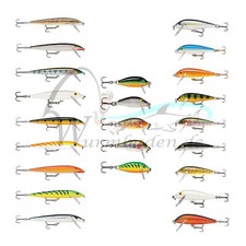 Trota wobbler pesce predatore