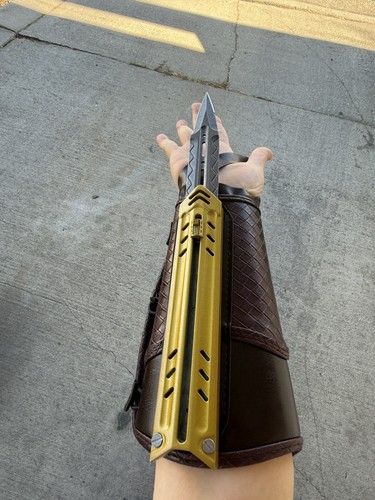 Assassin creed gold hidden - gold,