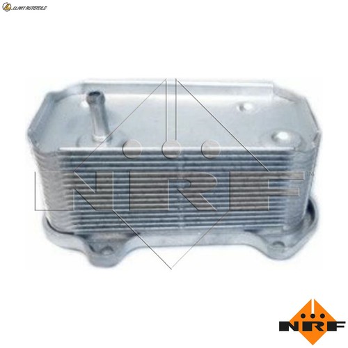 Radiatore olio motore 31289 - olio,