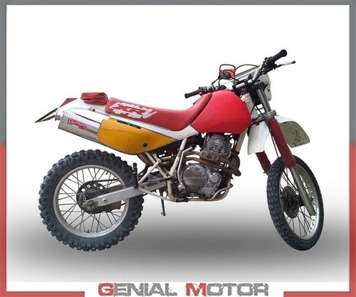 Terminale scarico gpr - terminale,