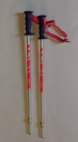 Racchette sci fizan - racchette,