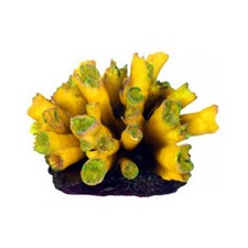 Aql decorazione corallo - decorazione,