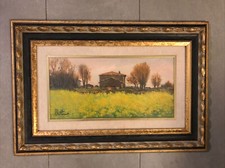 Quadro  20 X40 (più Cornice)