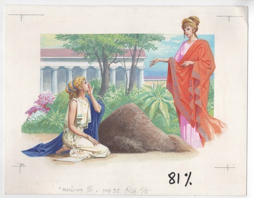 Severino baraldi - severino,