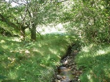 Photo 6x4 Small unnamed burn