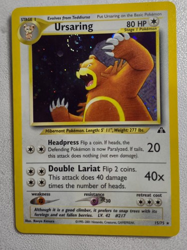 Ursaring pokemon neo - ursaring,