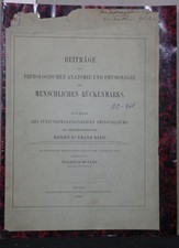 W. Müller: Contributi