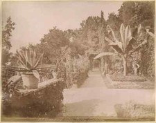 Lago di Como Cadenabbia Tremezzo Villa Carlotta 2 foto originali albumina XL274