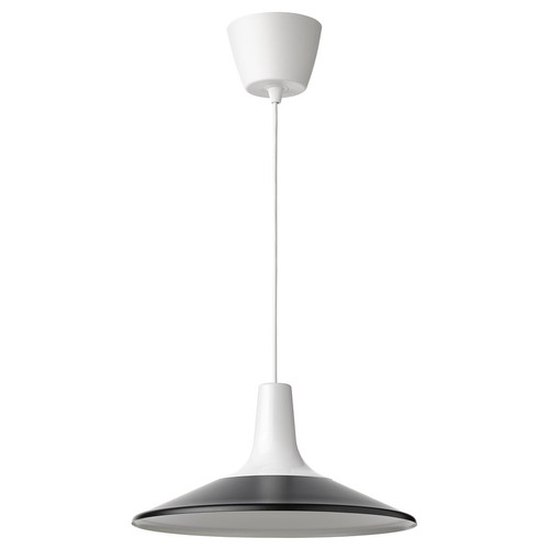 Fyrtiofyra lampada - fyrtiofyra,
