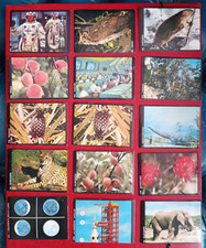 LOTTO 40 FIGURINE NATURA VIVA, EDIZIONI ITALIA MIA 1976