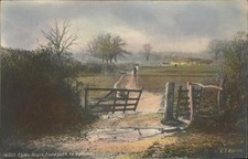 Axminster Rural