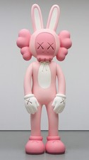 Kaws Coniglio