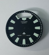 QUADRANTE DIAL CITIZEN  AQUALAND ADATTA PER CALIBRI  C020/C022/C028  USATO !!!