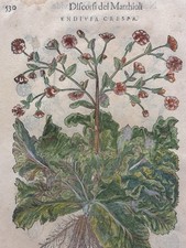 Rara antica pagina manoscritto