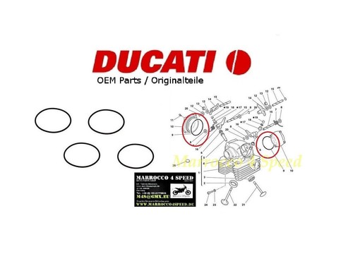 Ducati oem multistrada - ducati, 1000