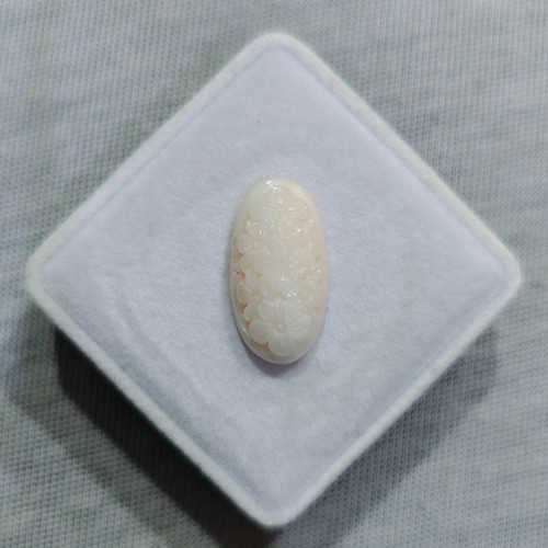 Corallo bianco naturale
