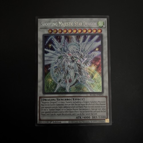 Shooting majestic star dragon - shooting,
