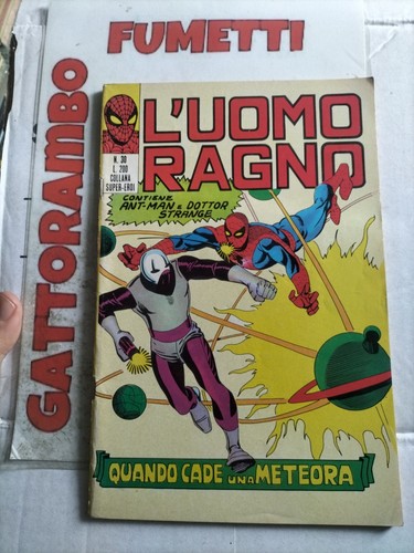 Uomo ragno anno - ragno,