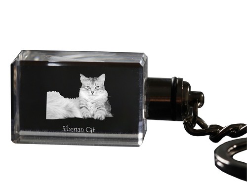 Gatto siberiano portachiavi - gatto,
