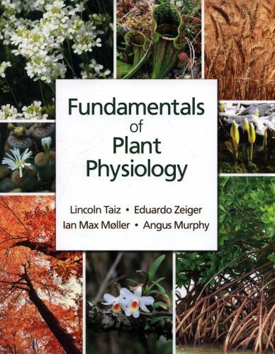Fundamentals plant - fundamentals,