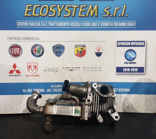 Gruppo valvola egr - valvola, renault