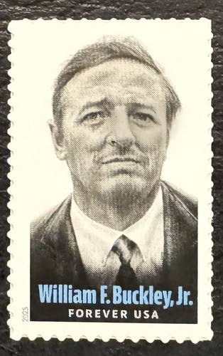 2025 scott 6032 forever - #6032,