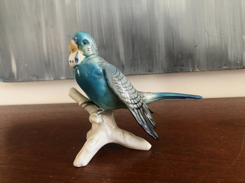 Perruche bleue porcelaine - perruche, en