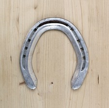 ORIGINAL RACING HORSESHOE