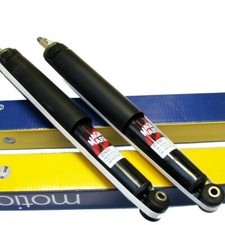 2x Ammortizzatori posteriori