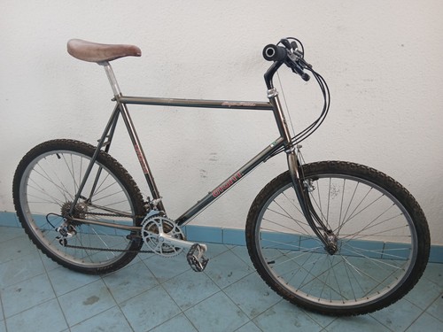 Vintage mtb 1988 giant - vintage,