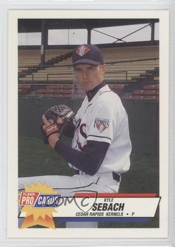 Fleer procards minor league - procards,