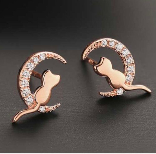Orecchini argento 925 oro - orecchini, in
