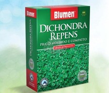 Prato dichondra repens 200gr - dichondra,