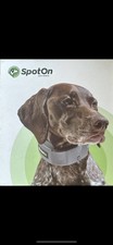 Spot On GPS Dog Collar Large