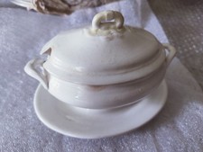 Salsierina s.c.Richard