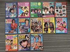 Lot of 13 - 1980s Tiger Beat
