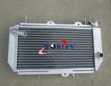 Full Aluminum Radiateur Pour