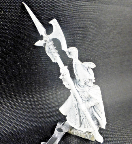 High elves phoenix guard - high,