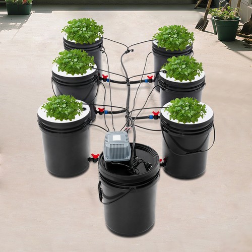 Farmer dwc hydroponik system - hydroponik,