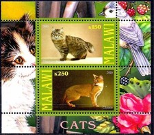 Gatti Animali Domestici American Bobtail Chausie Animali Domestici m/s MNH