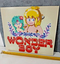 Pannello Plexiglass Grafica Videogioco Cabinato Arcade Wonder Boy Vintage