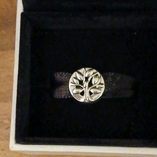 (1415) Charm Pandora Argento