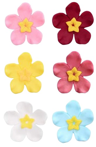 Fiore helleboro mini - fiore,