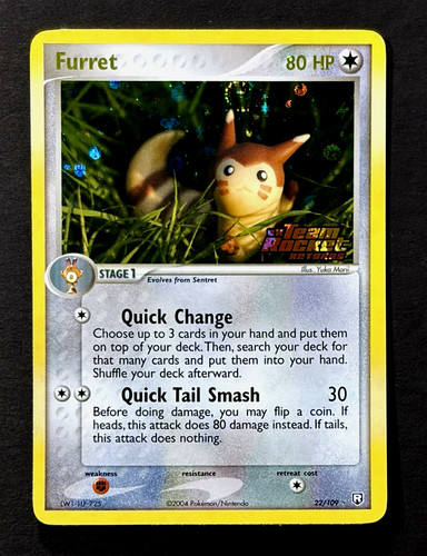 2004 pokemon furret team - furret,