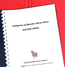 X-RARE!  Quarter Horse "HALTER