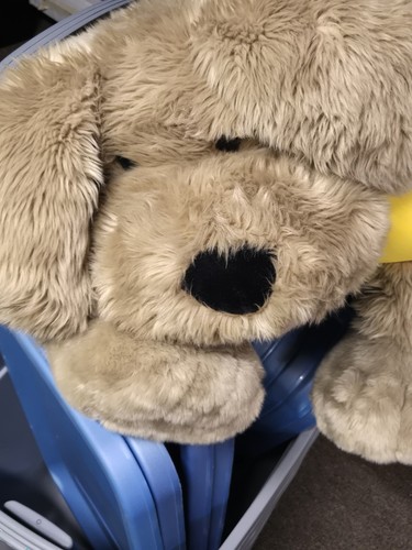 Peluche commonwealth jumbo - commonwealth,
