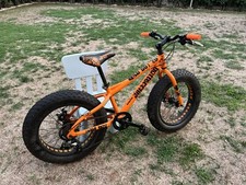 Bici Bottecchia Wild Fat 20”