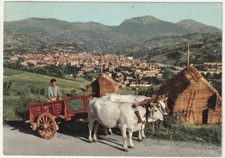 TERAMO - PANORAMA - BUOI - CARRETTO - VIAGG. -59195-