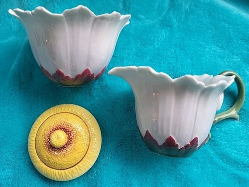 Franz oxeye margherita - oxeye, creamer